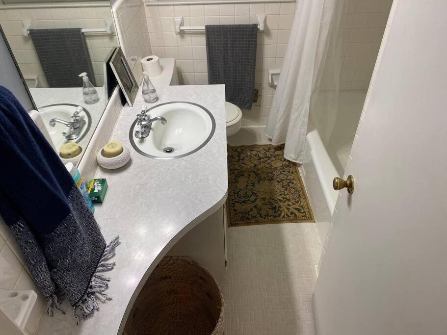Whole House In Athens, Private, Fenced, Convenient, Close To Downtown Exteriör bild